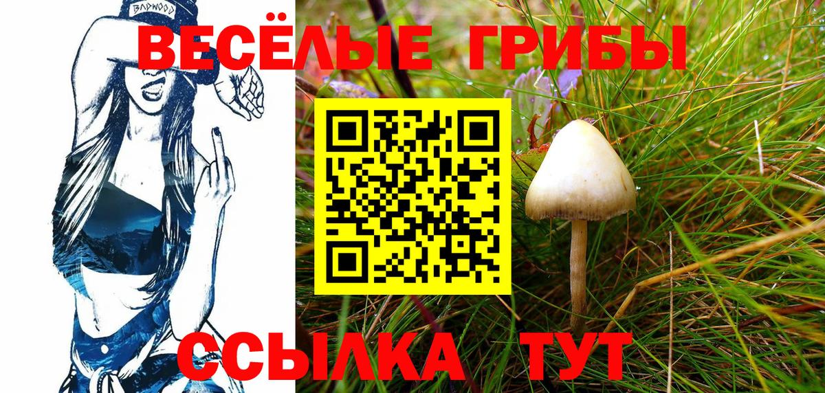 Воткинск  Псилоцибиновые грибы ЛСД  Вход с VPN 